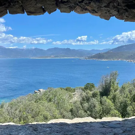 Appartement Paillote Perchee A 180 ° Sur La *