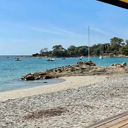 Διαμέρισμα Paillote Perchee A 180 ° Sur La *