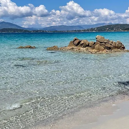 Διαμέρισμα Paillote Perchee A 180 ° Sur La