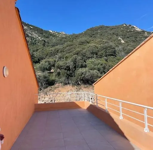 Paillote Perchee A 180 ° Sur La