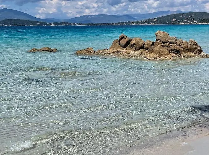 Apartment Paillote Perchee A 180 ° Sur La